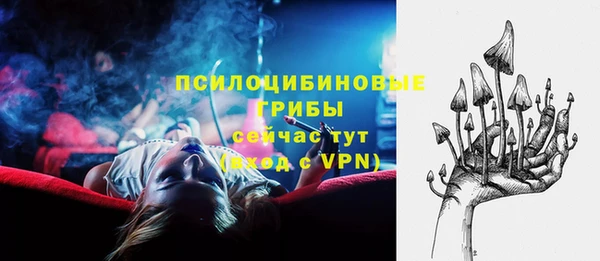 индика Аркадак