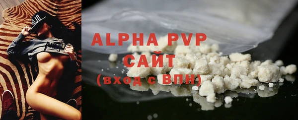 индика Аркадак