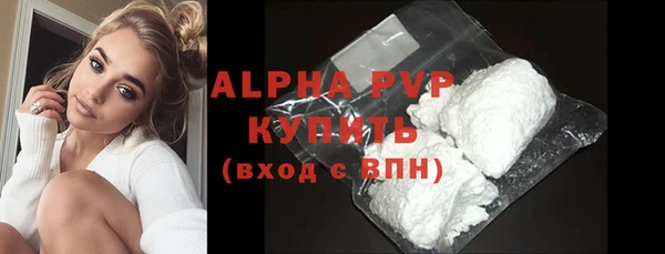 стаф Арсеньев