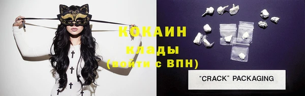 стаф Арсеньев