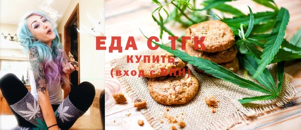 индика Аркадак