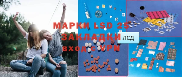 стаф Арсеньев