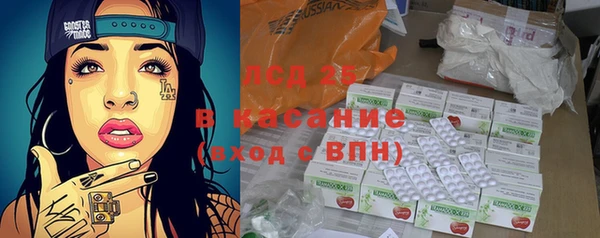 индика Аркадак