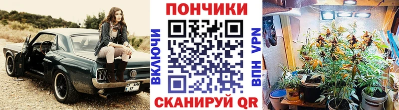 Бошки марихуана Bruce Banner Щёлкино